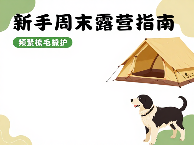 新手周末露营指南,频繁梳毛护理,打造完美徒步伴侣