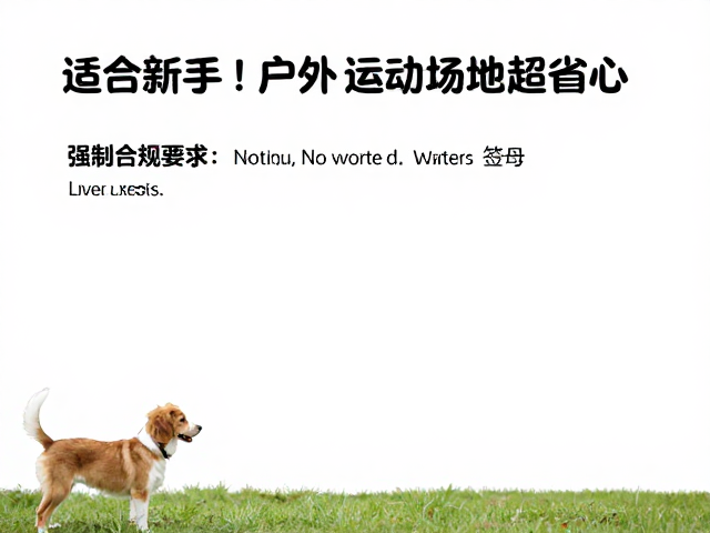 适合新手!独立又粘人的狗狗,配充足户外运动场地超省心