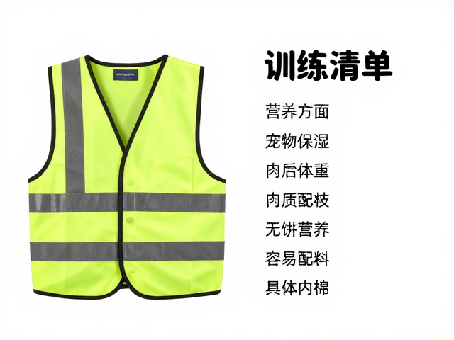 训练零食袋,反光背心,专用狗粮,宠物训犬装备清单与选购指南