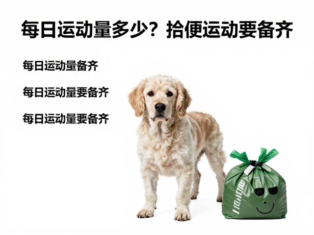 老年犬运动减量标准,每日运动量多少?拾便袋要备齐