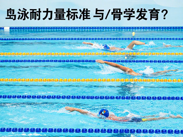 游泳耐力训练助骨骼发育?每日运动量标准与科学指南