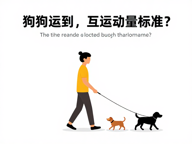 遛狗散步每日运动量标准,互动越多越健康?