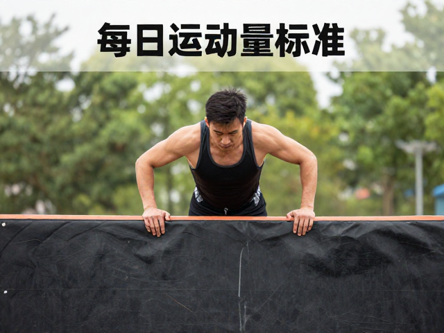 每日运动量标准，穿运动背心高效完成障碍穿越训练指南