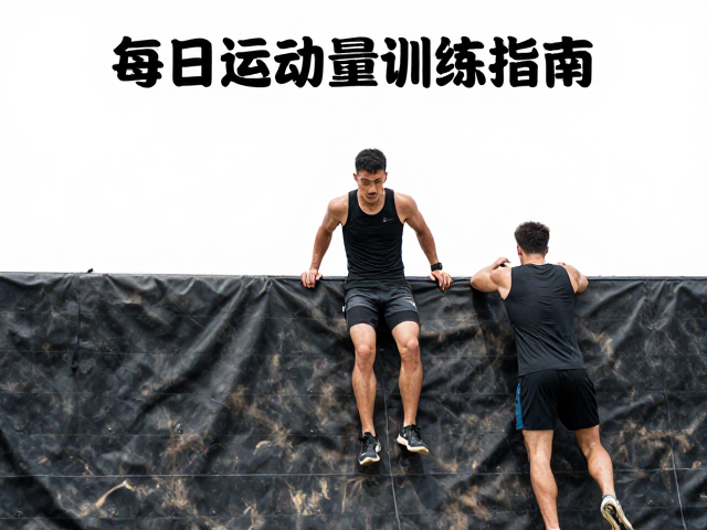 每日运动量标准，穿运动背心高效完成障碍穿越训练指南
