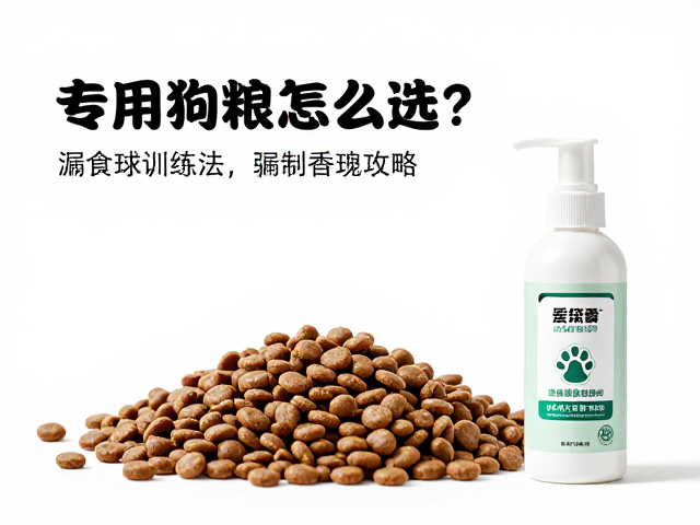 专用狗粮怎么选?漏食球训练法,宠物香波护理全攻略