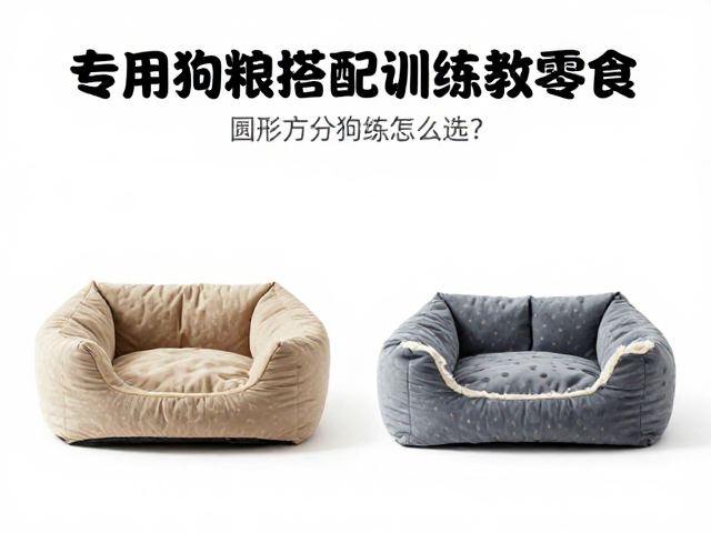 专用狗粮搭配训练零食袋,圆形方形狗窝怎么选?2024选购指南