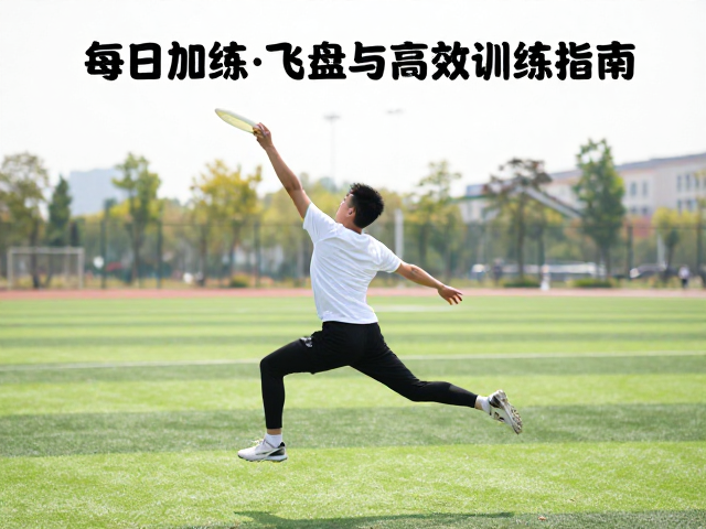周末加练飞盘,每日运动量标准与高效训练指南