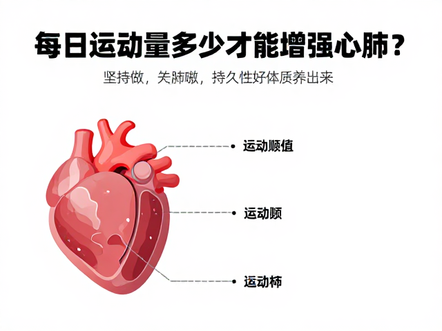 每日运动量多少才能增强心肺?坚持做,持久性好体质养出来