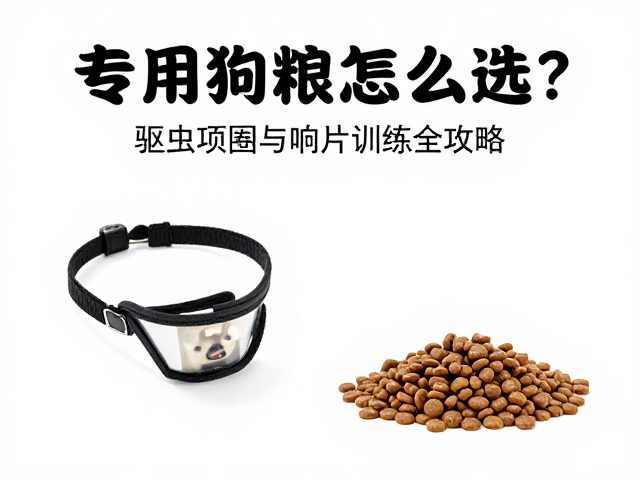 专用狗粮怎么选?驱虫项圈与响片训练全攻略,养宠不踩坑