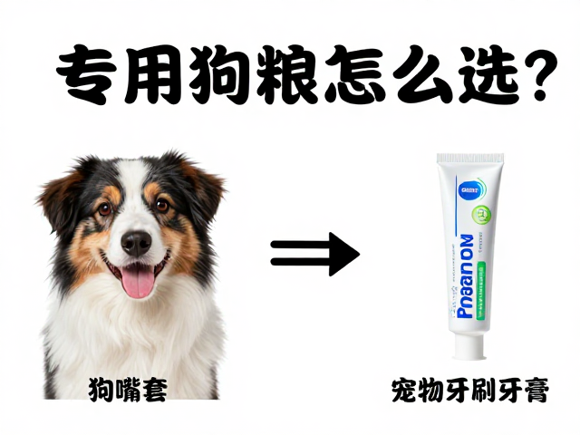 专用狗粮怎么选?狗嘴套与宠物牙刷牙膏选购全攻略