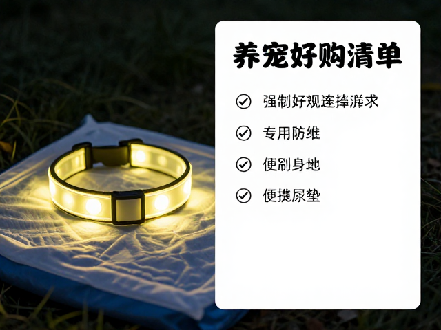 专用狗粮,LED发光项圈,便携尿垫,养宠好物清单与选购指南