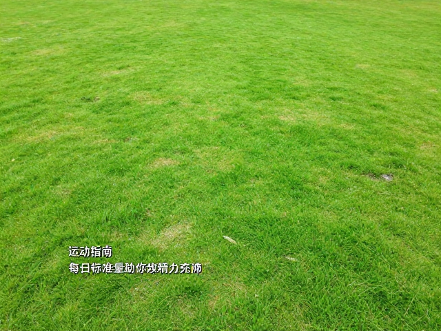 公园草坪运动指南,每日标准量助你精力充沛