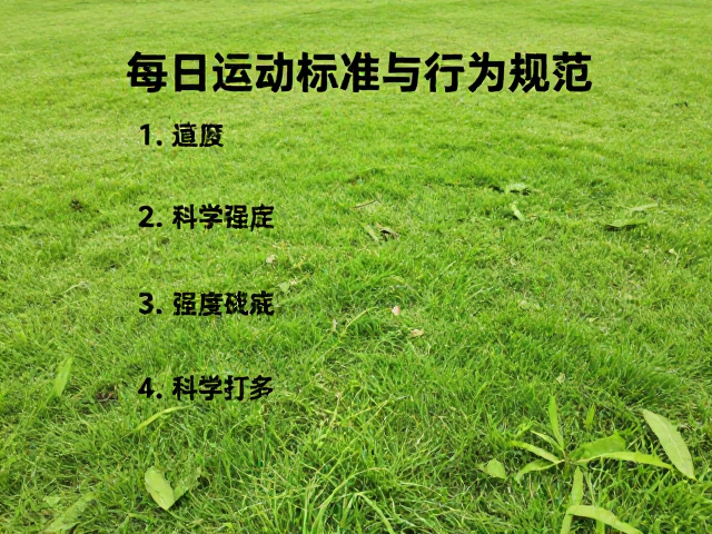 公园草坪运动指南,每日运动标准与行为规范
