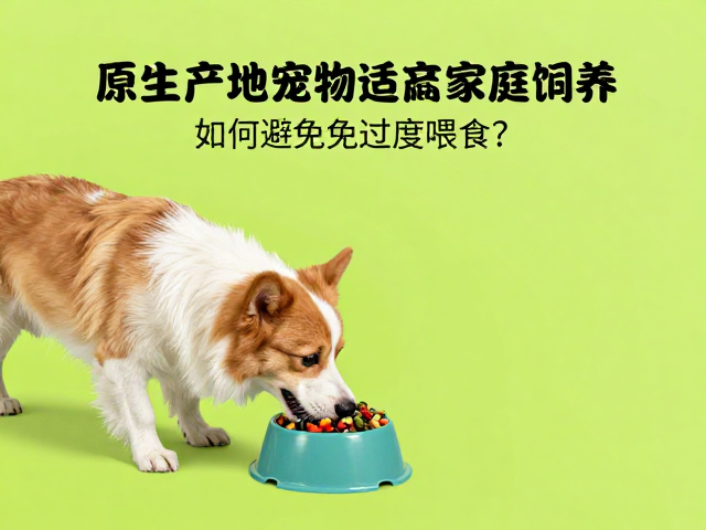 原生产地宠物适应家庭饲养，如何避免过度喂食？