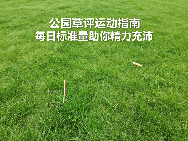 公园草坪运动指南，每日标准量助你精力充沛