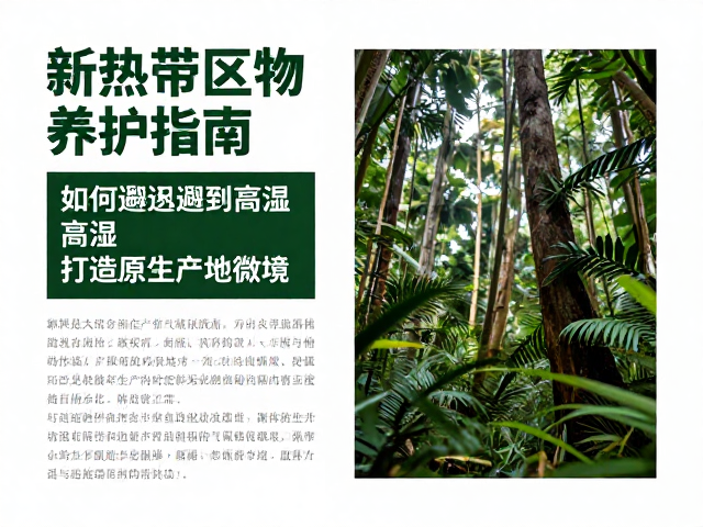 新热带区物种养护指南,如何避开高温高湿,打造原生产地微境