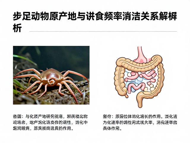 步足动物原产地与进食频率消化关系解析