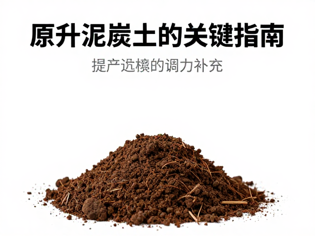 原产泥炭土营养补充,提升土壤肥力的关键指南