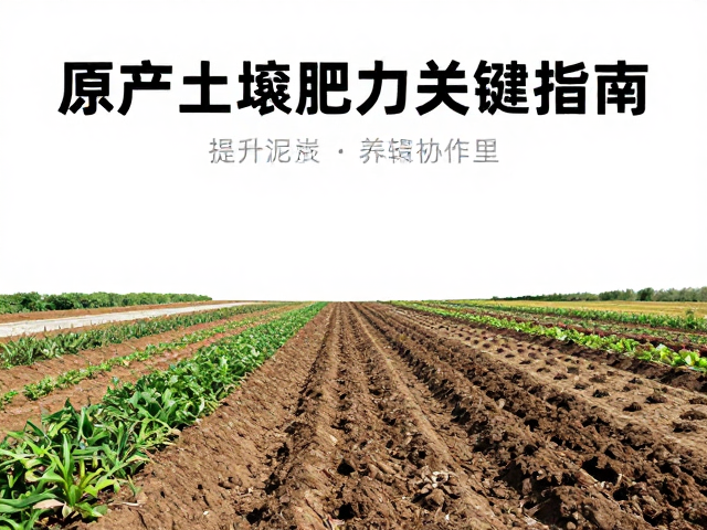 原产泥炭土营养补充,提升土壤肥力的关键指南