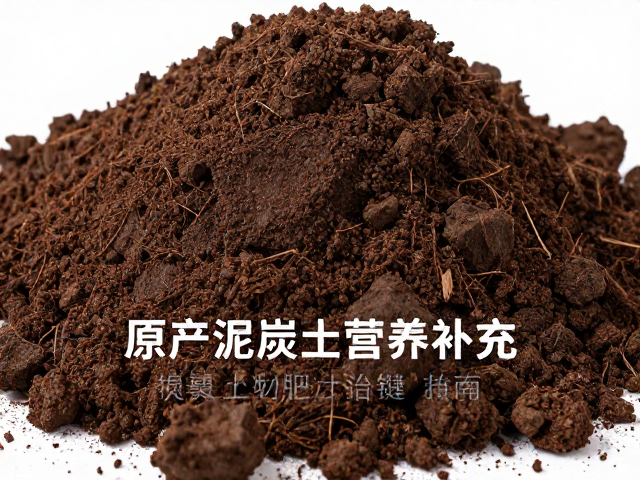 原产泥炭土营养补充，提升土壤肥力的关键指南