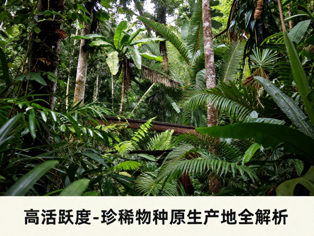 原产地栖息地揭秘，高活跃度珍稀物种原生产地全解析