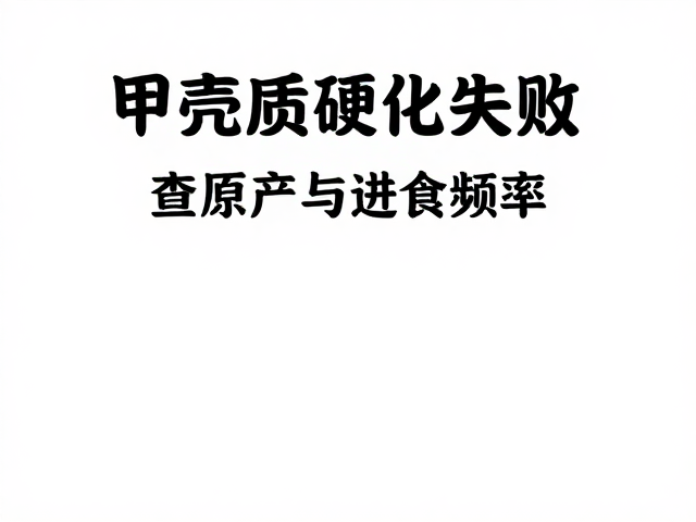 甲壳质硬化失败？查原产与进食频率，解决消化难题