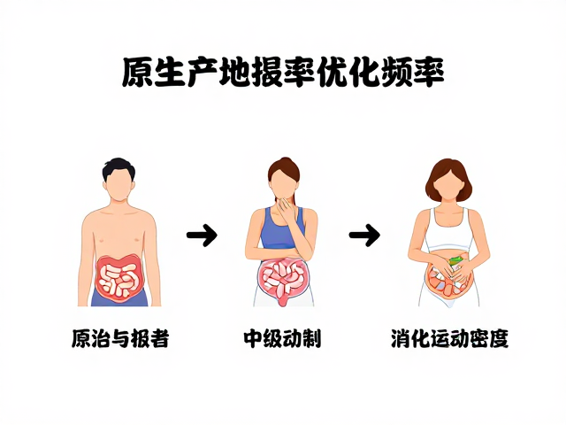 原生产地揭秘，初级至中级者如何根据进食频率优化消化