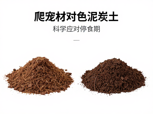 爬宠垫材推荐椰土或泥炭土，如何科学应对停食期