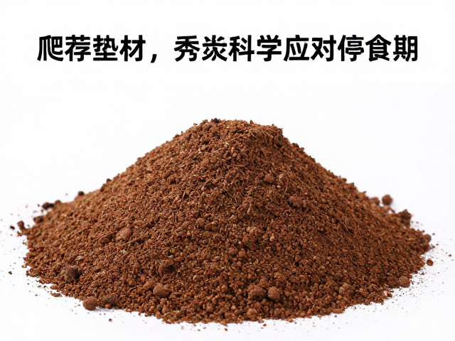 爬宠垫材推荐椰土或泥炭土，如何科学应对停食期