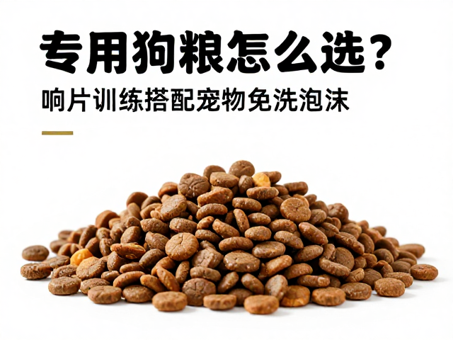 专用狗粮怎么选?响片训练搭配宠物免洗泡沫,养宠更高效