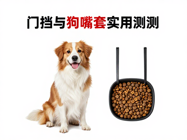 专用狗粮怎么选?门挡与狗嘴套实用评测,科学养狗避坑指南