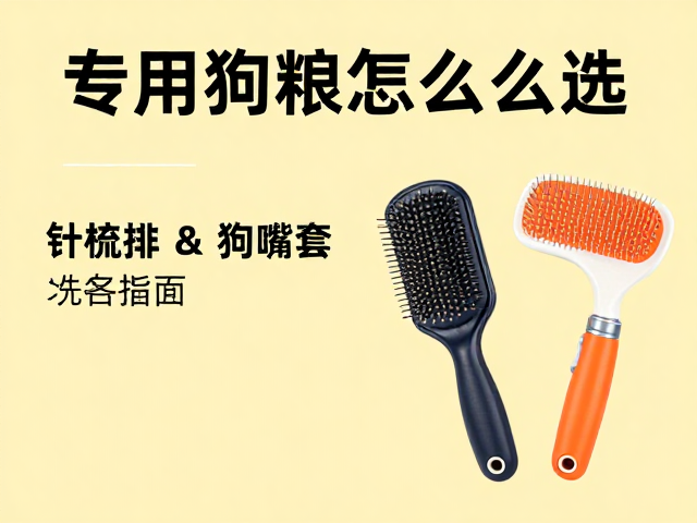 专用狗粮怎么选?针梳排梳与狗嘴套选购指南,爱宠健康必备