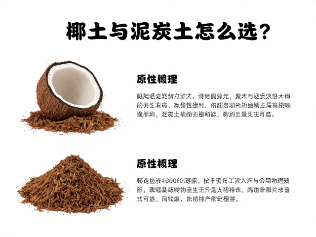 爬宠垫材推荐，椰土与泥炭土怎么选？原产地营养补充指南