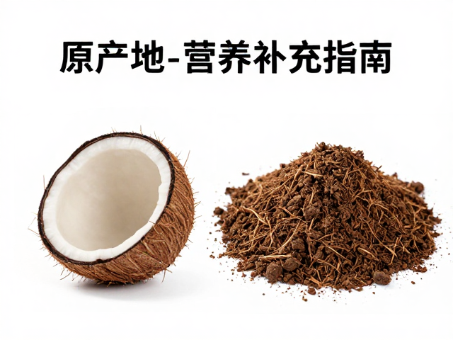 爬宠垫材推荐，椰土与泥炭土怎么选？原产地营养补充指南