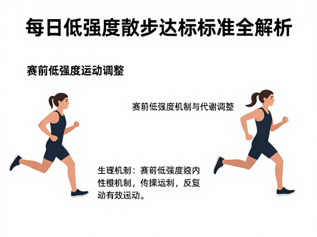 比赛预备期如何运动?每日低强度散步达标标准全解析