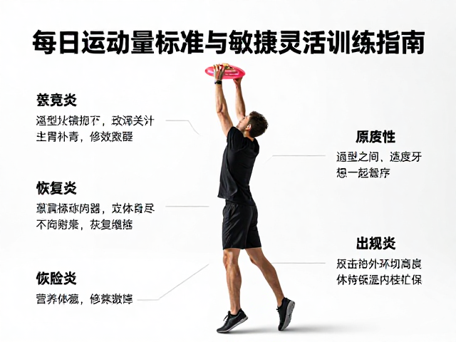 高强度飞盘接球多累?每日运动量标准与敏捷灵活训练指南