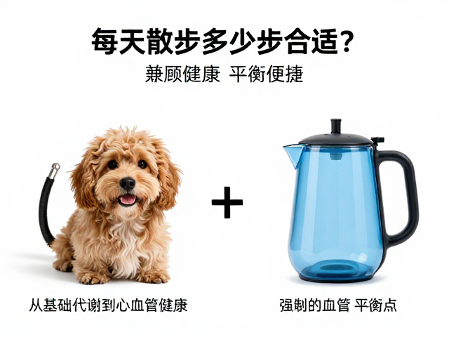 每天散步多少步合适？宠物水壶怎么选兼顾健康与便捷