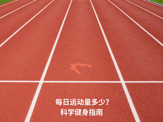 每日运动量多少?专用跑道避剧烈跳跃,科学健身指南