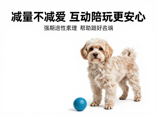老年犬运动指南,减量不减爱,互动陪玩更安心
