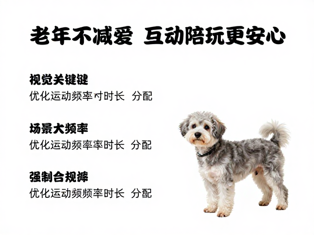 老年犬运动指南,减量不减爱,互动陪玩更安心