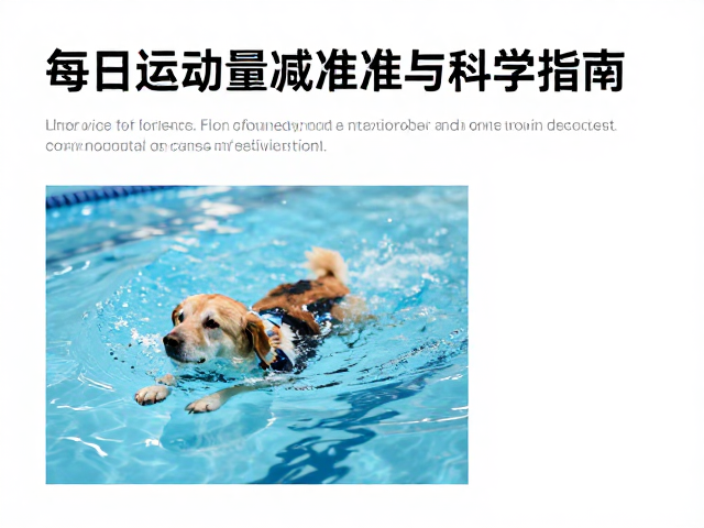 老年犬游泳耐力训练,每日运动量减量标准与科学指南