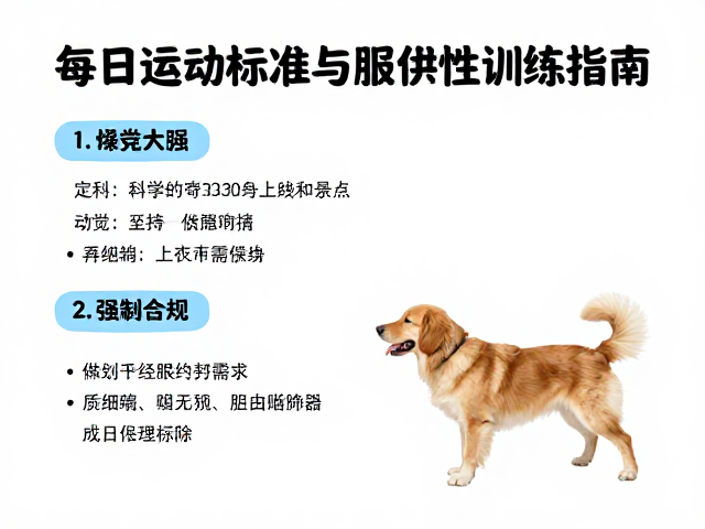 狗狗活泼好动难管?每日运动标准与服从性训练指南