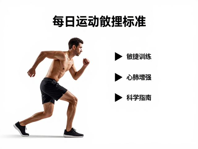 每日运动标准,敏捷训练,心肺增强,科学健身指南