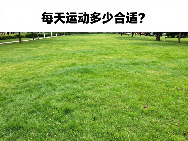 每天运动多少合适?公园草坪互动健身指南