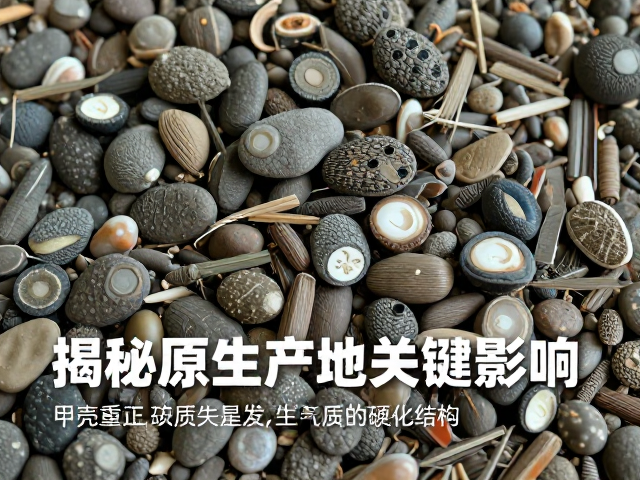 高湿度环境致甲壳质硬化失败?揭秘原生产地关键影响