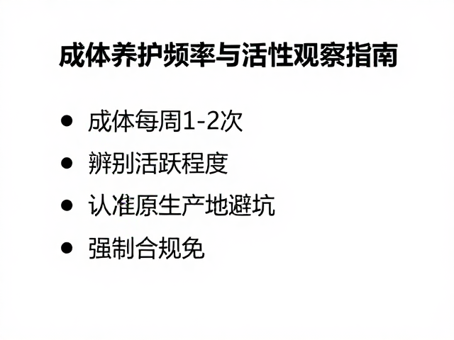 成体每周1-2次，辨别活跃程度，认准原生产地避坑