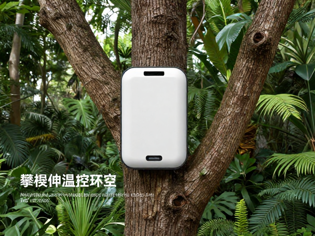 树栖宠物温控设备，如何根据原生产地打造高攀爬习性栖息环境