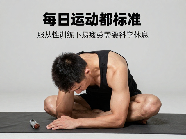 每日运动标准,服从性训练下易疲劳需科学休息
