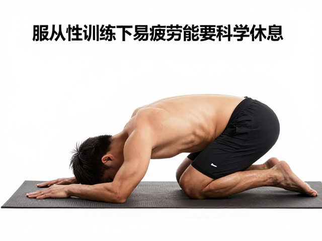 每日运动标准,服从性训练下易疲劳需科学休息