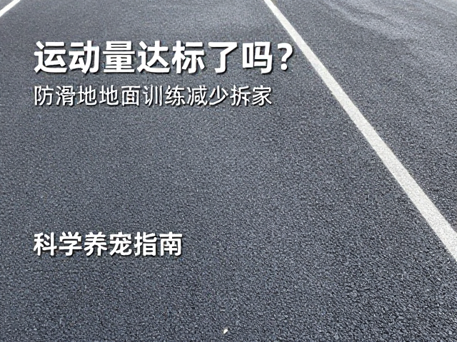 运动量达标了吗?防滑地面训练减少拆家,科学养宠指南